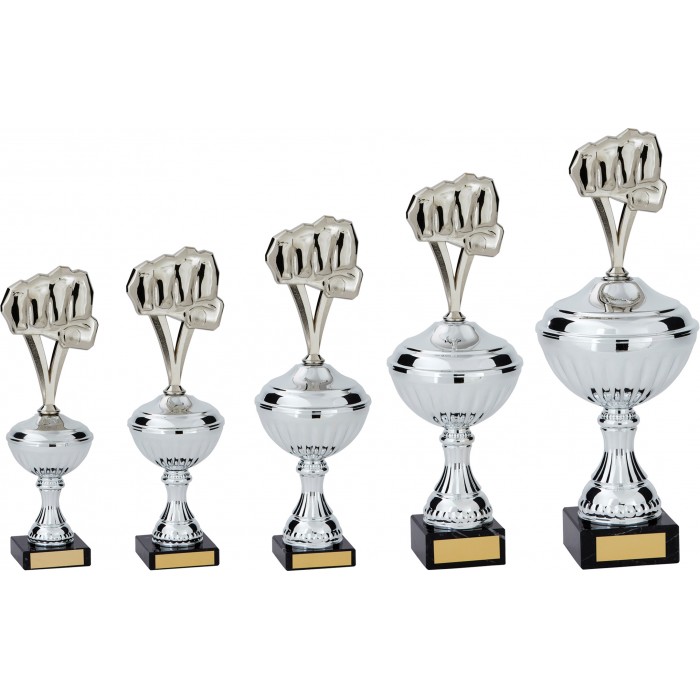 METAL MARTIAL ARTS TROPHY CUP  - AVAILABLE IN 5 SIZES